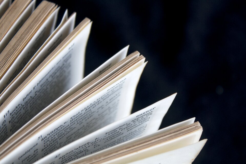 Pages open book literature