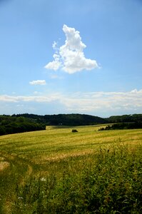View nature polyana