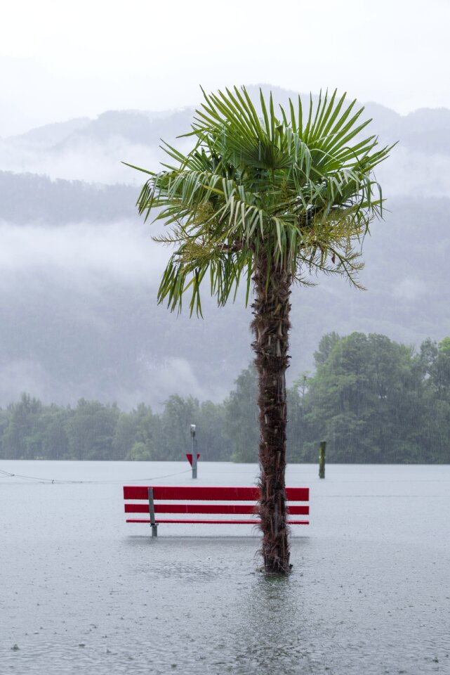 Weather water wet