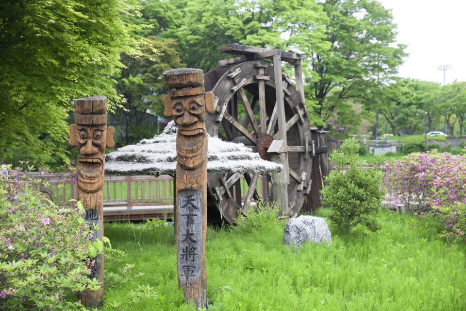 Jung watermill plants