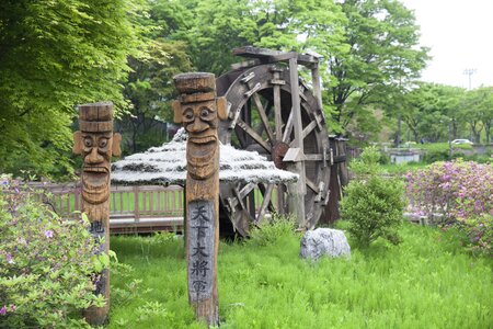 Jung watermill plants