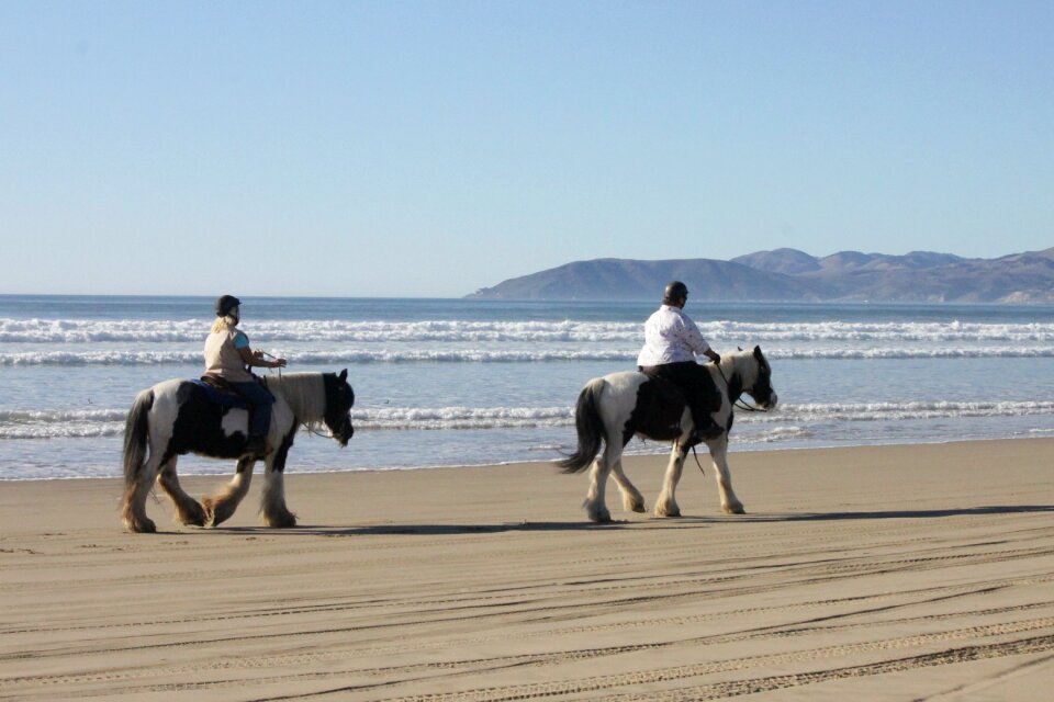 Outdoor rider equestrian