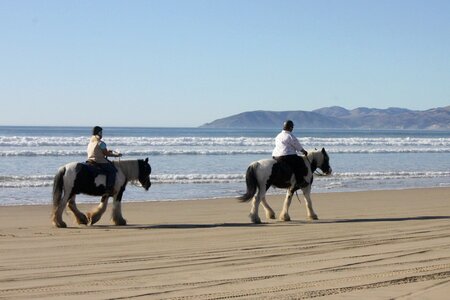 Outdoor rider equestrian