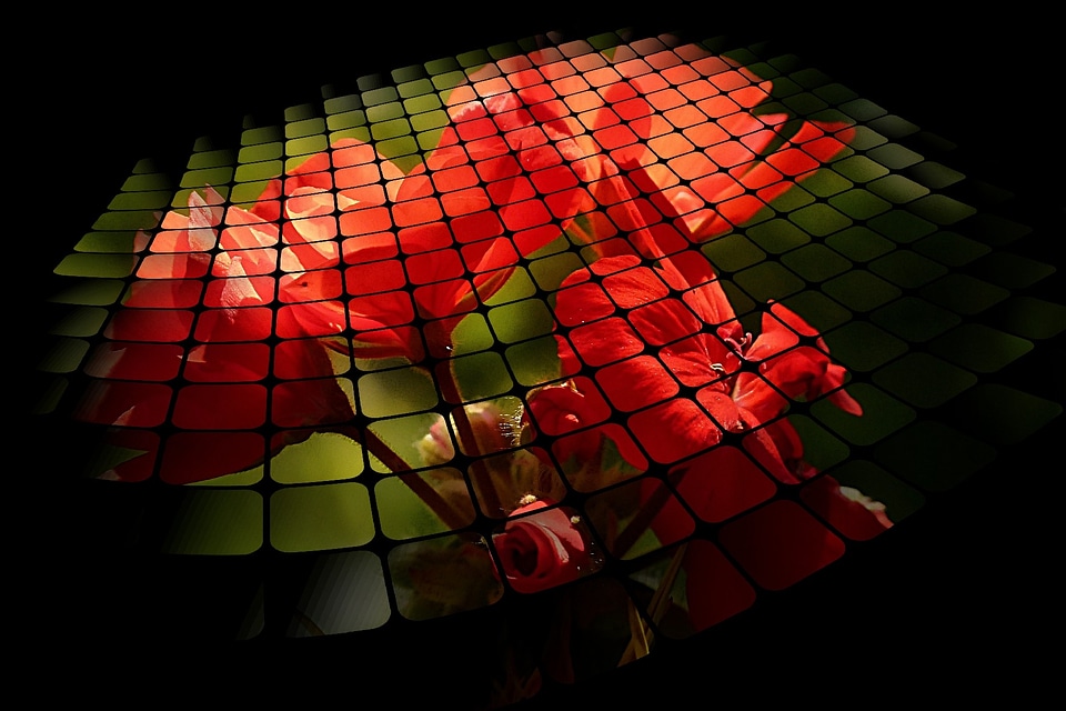 Nature plant digital art