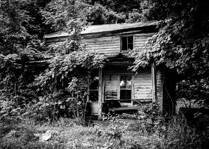 Rural country scenic