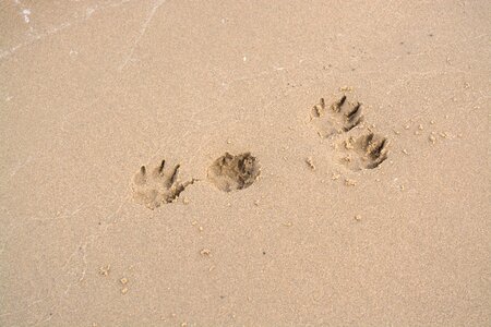 Sand reprint track