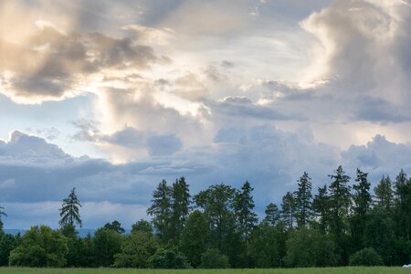 Fir field to-chez-perrin