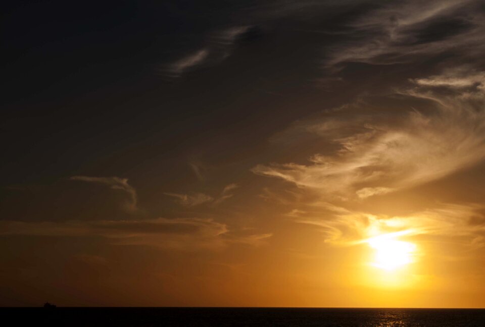 Sun landscape palmas