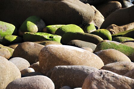 Pebble surf sea photo