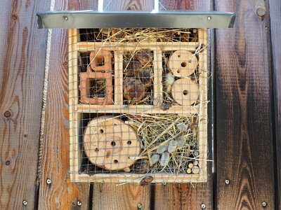 Wood insect wild bee hotel photo