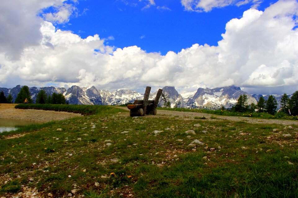 Meadow landscape alpine