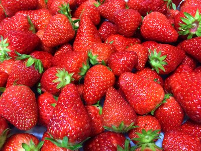 Strawberry fruit vitamin c