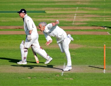 Cricket match stumps cricket field