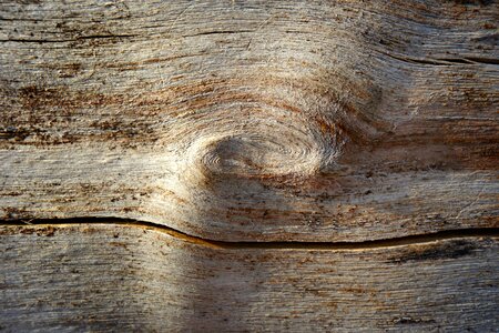 Timber grain rings