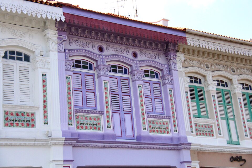 Architecture terrace homes