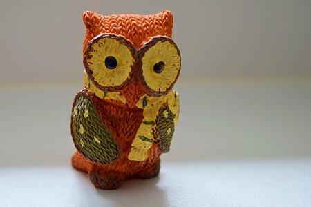 Owl decoration funny photo