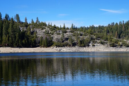 Granite water trees