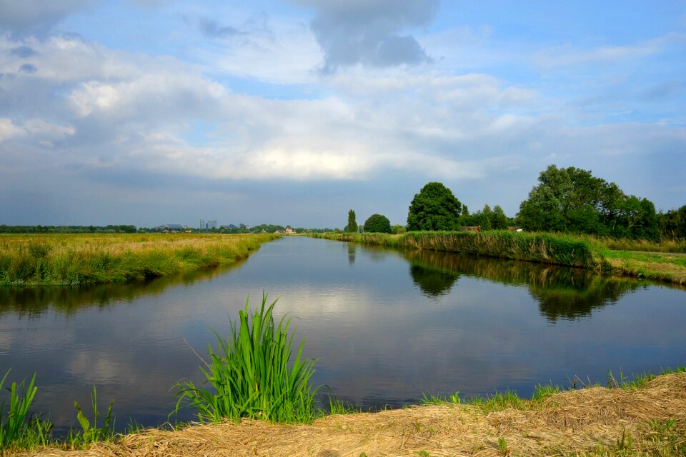 Polder meadows waterway