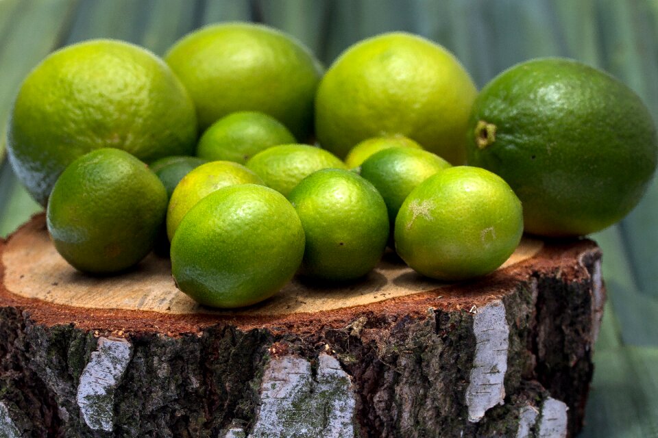 Citrus fruits fruit lime