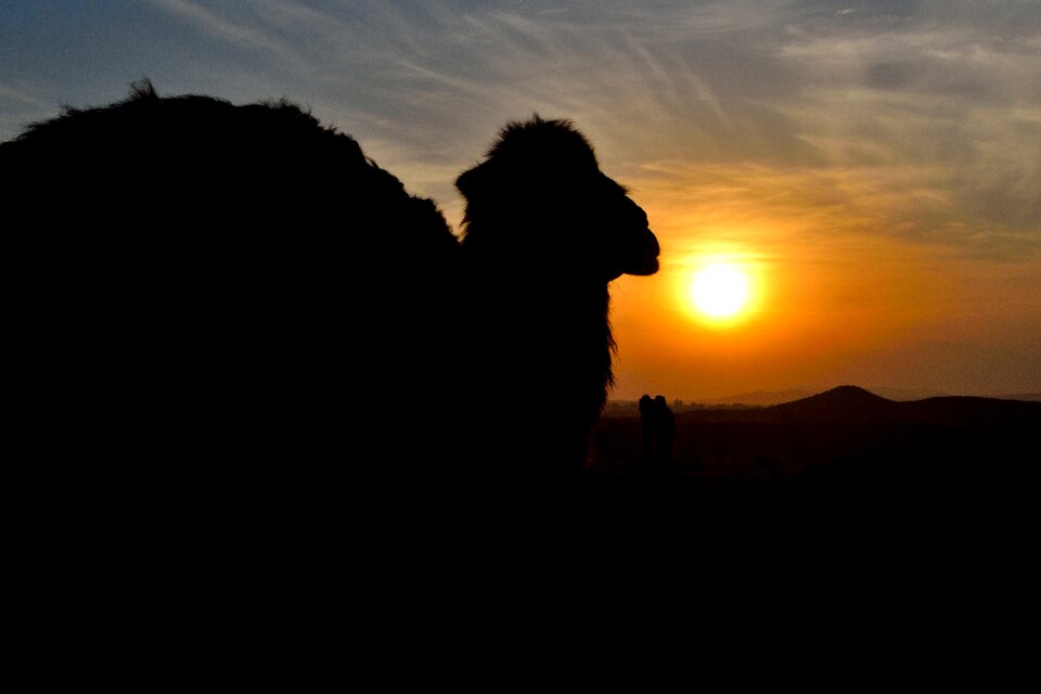 Desert black desert