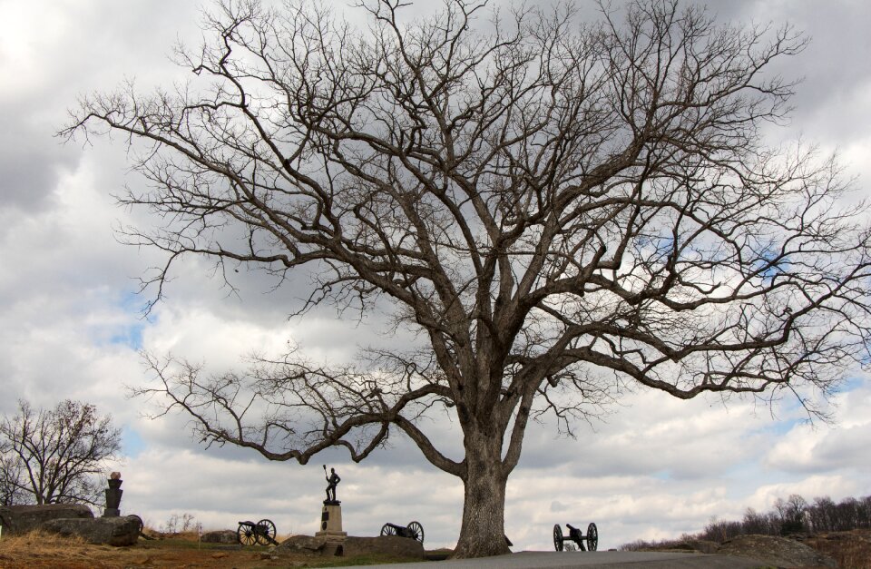 Tree statue sculpture
