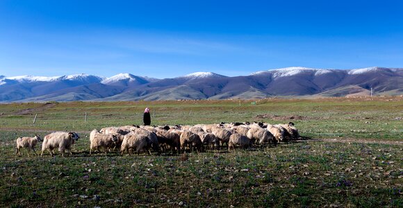 Qinghai lake xining gansu province photo