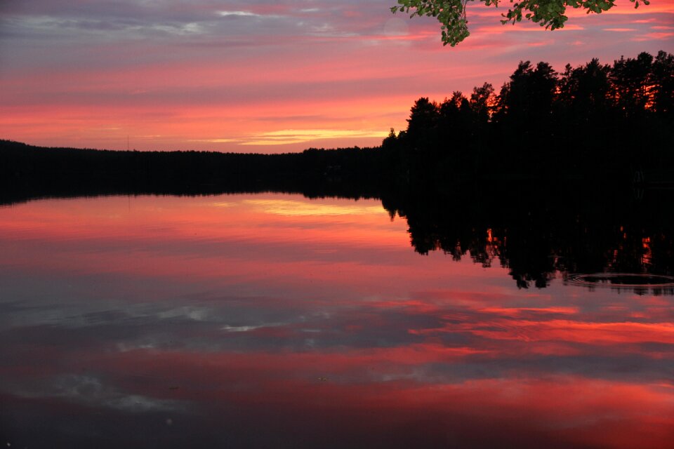 Nature sun evening