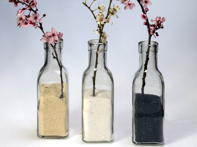 Glass glass bottle flowers photo