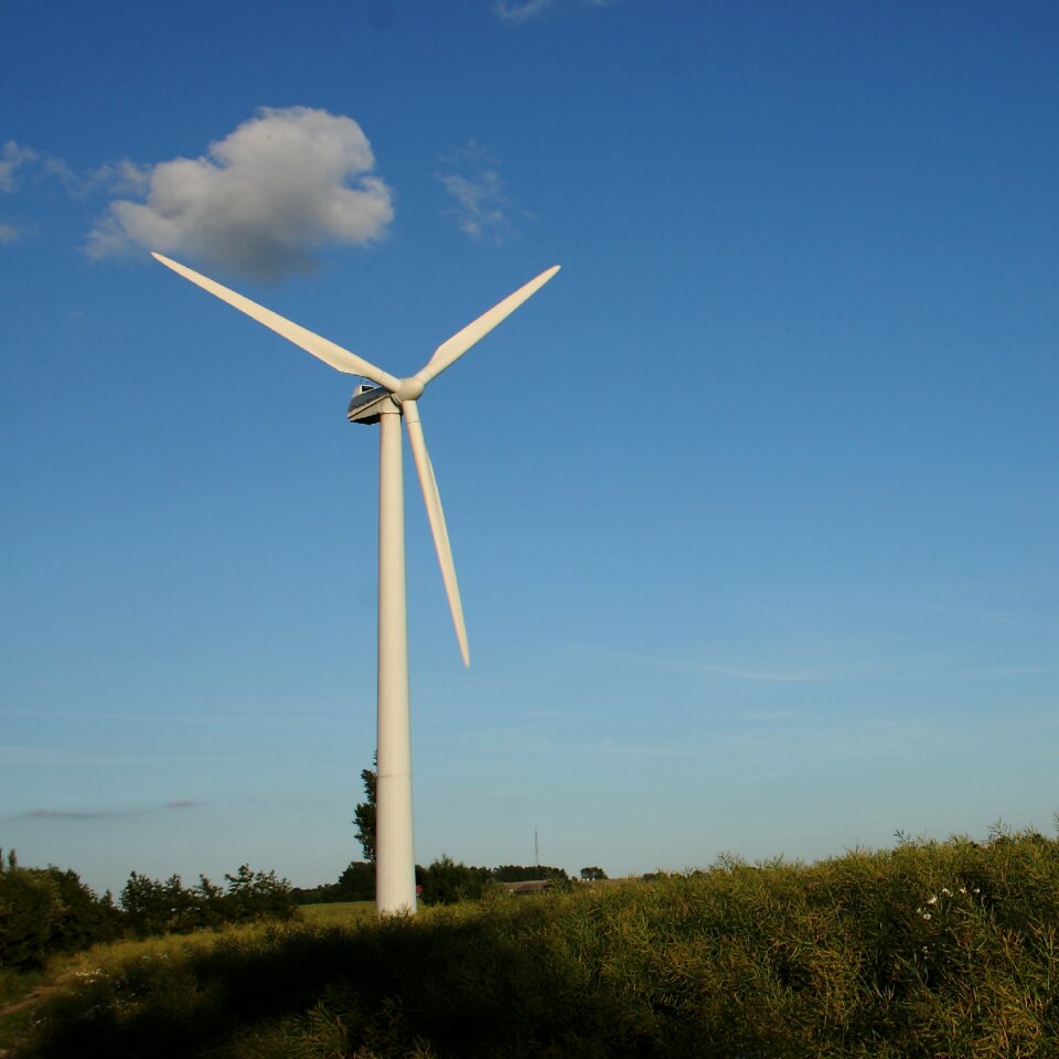 Summer natural denmark