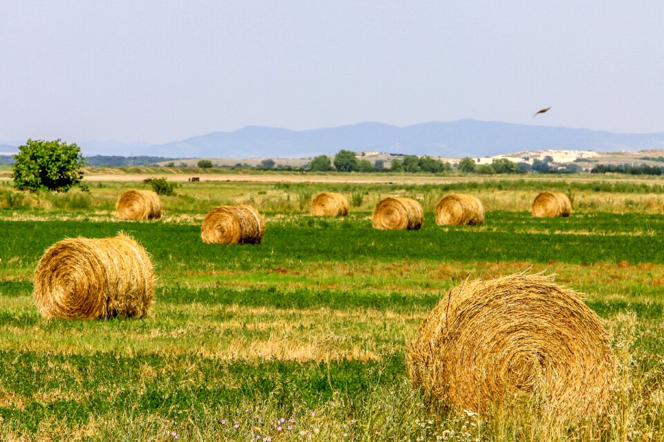 Nature landscape farm