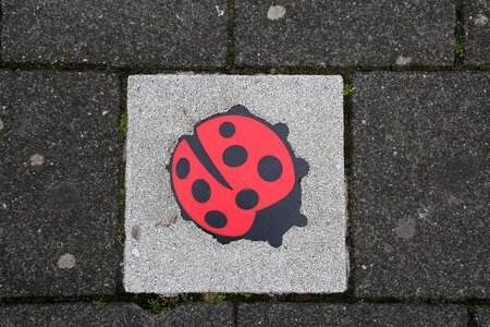 Concrete slab deco ladybug