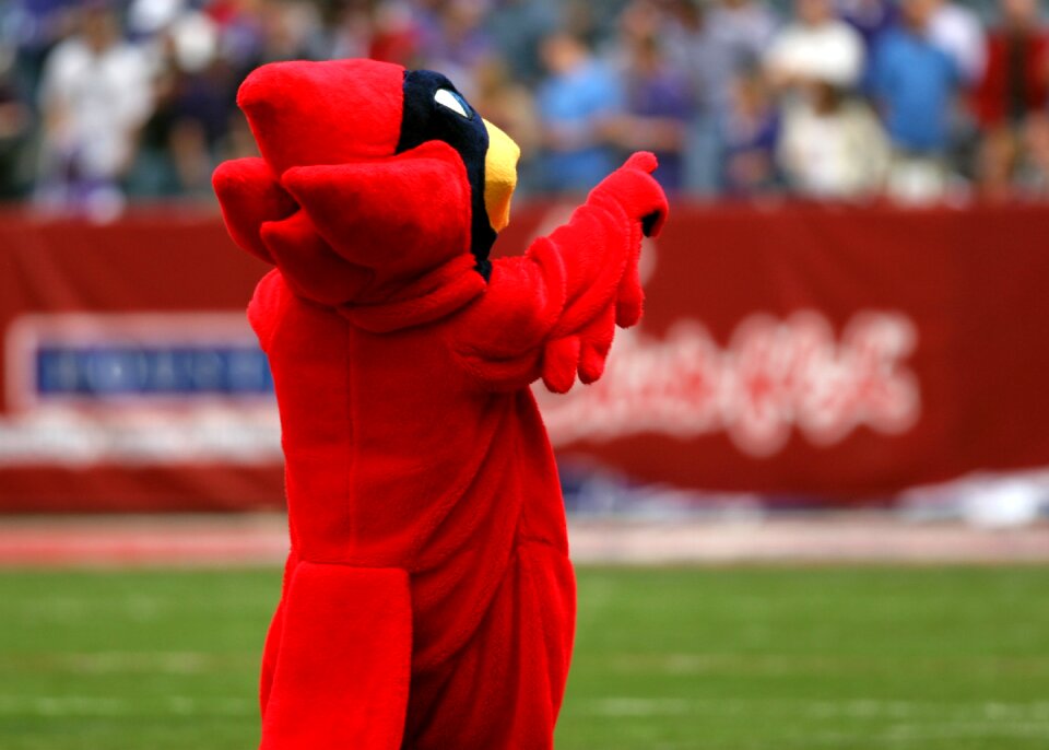 Cardinal emblem american football