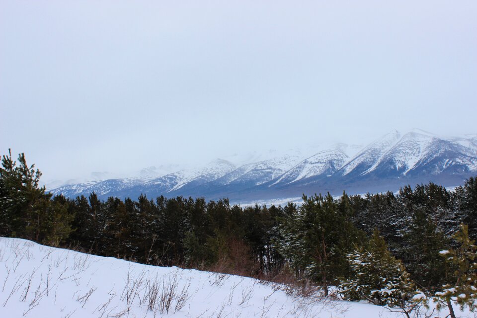 Landscape mountains forest