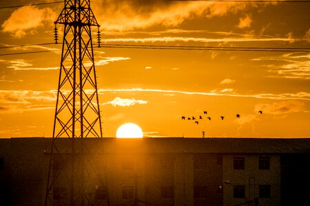 Antenna sunset birds photo