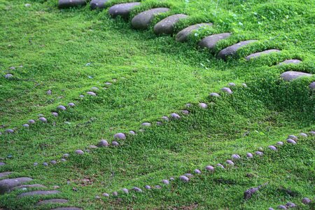 Lawn zen japanese photo