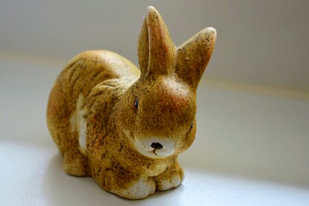 Hare decoration funny