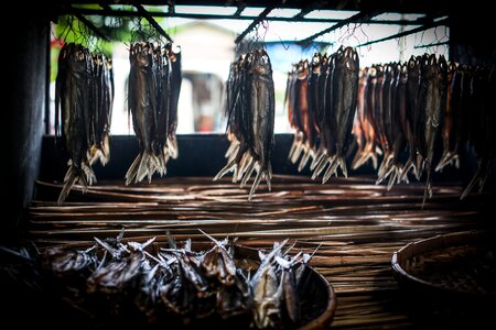 Tradition life taiwan