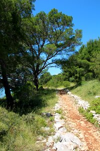 Path landscape cliffs