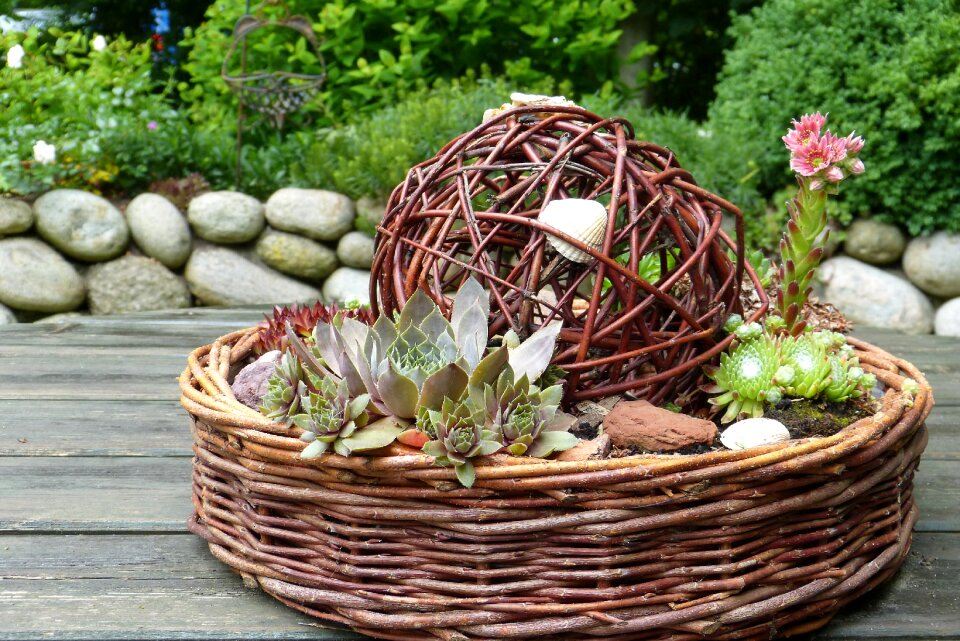 Wood pasture basket