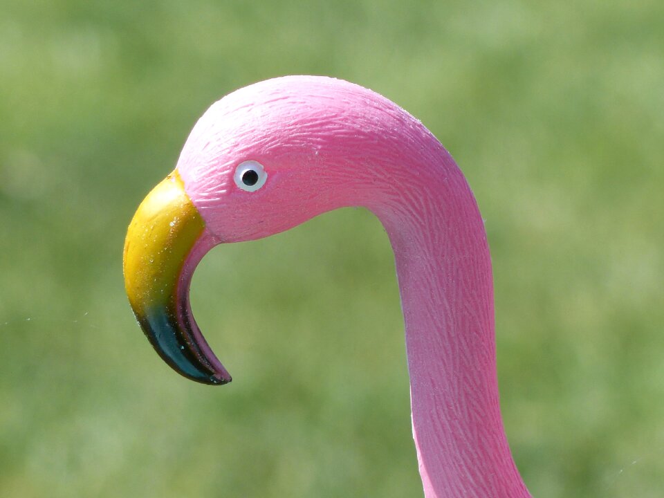 Summer garden pink