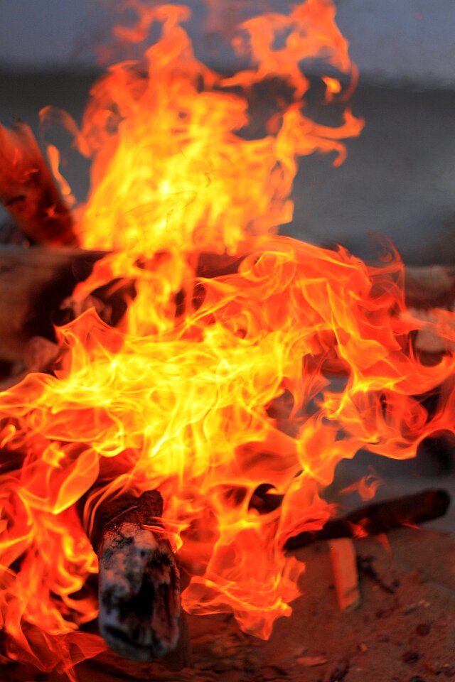 Firewood campfire flame