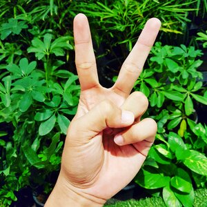 Holidays communication two fingers