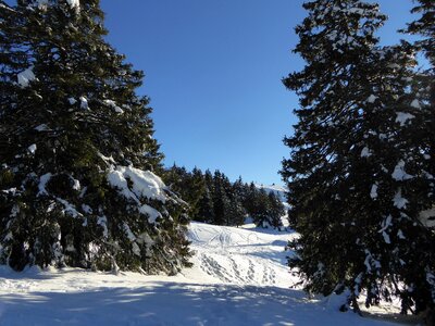 Mountain snowy alps photo