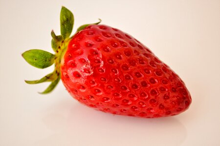 Juicy forest fruit dessert