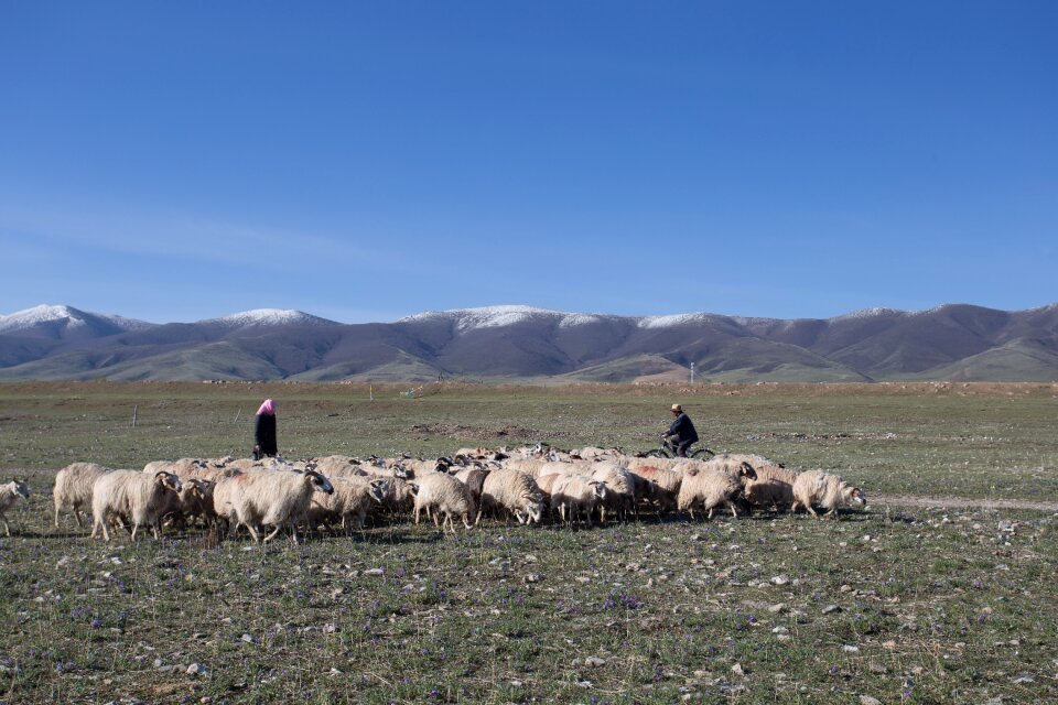 Qinghai lake xining gansu province
