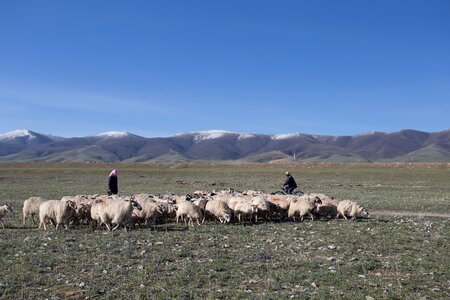 Qinghai lake xining gansu province photo