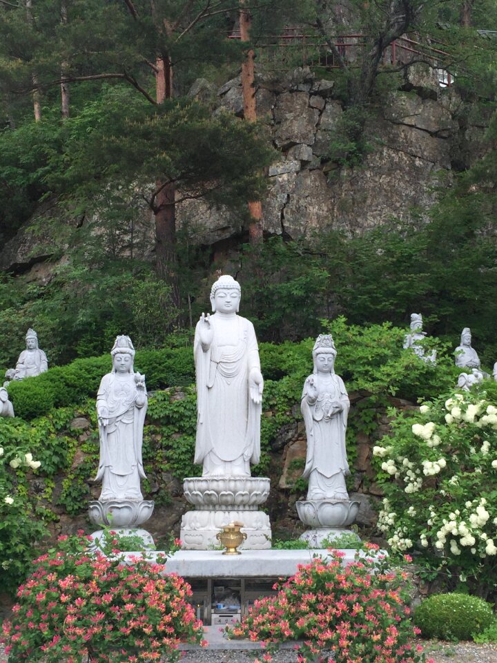 Buddha gangwon foothills the hermitage