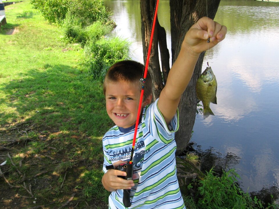 Fishing pole pond catch photo