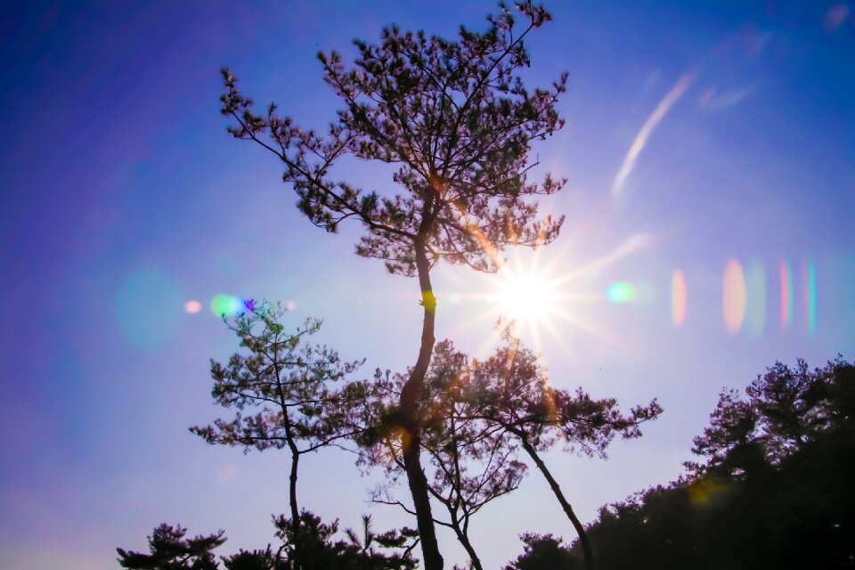 Cloud sky republic of korea