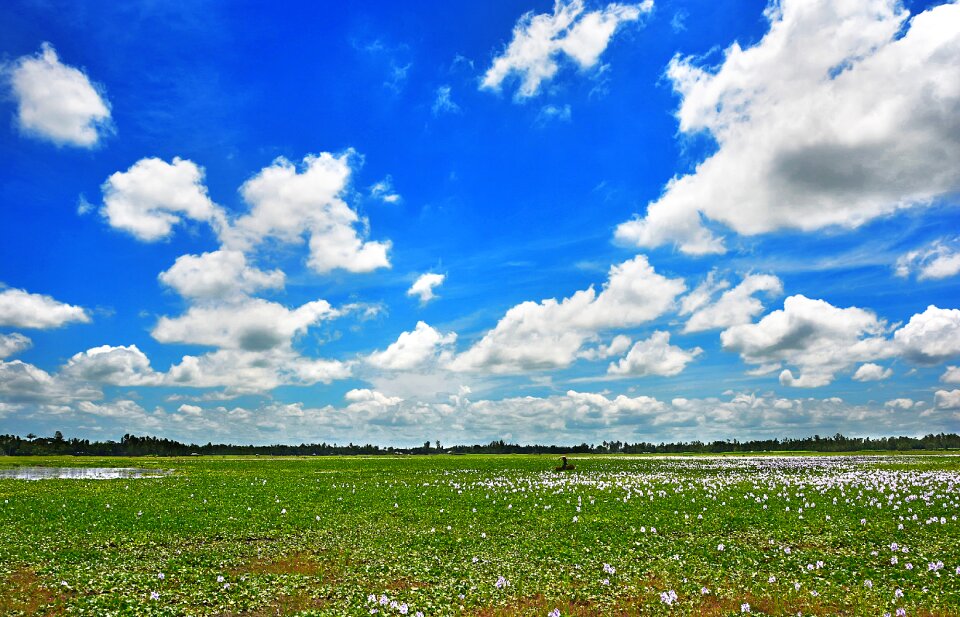 Clouds green